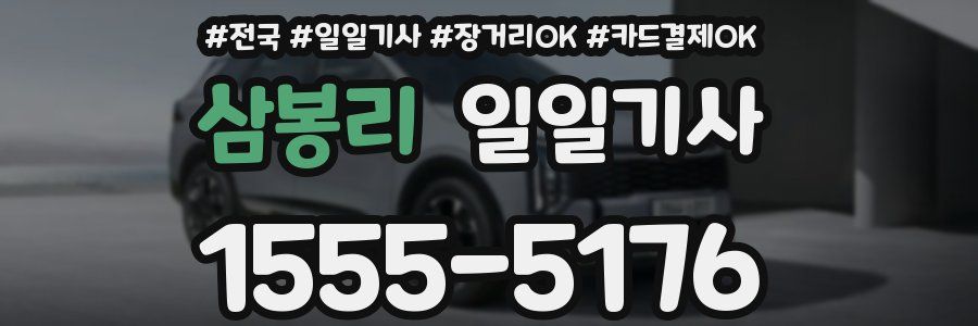 삼봉리 일일기사