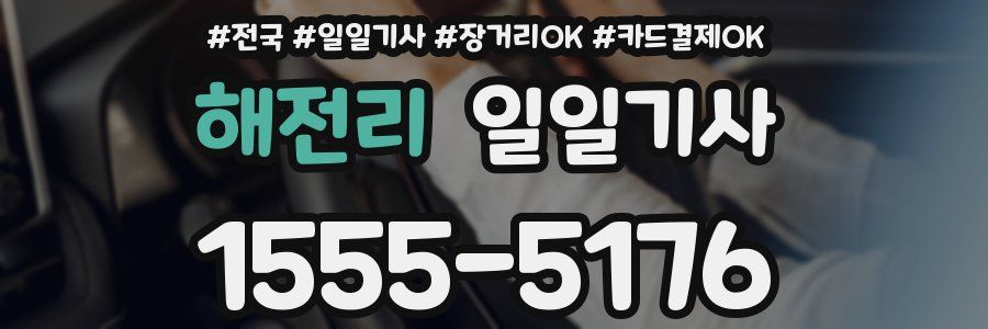 해전리 일일기사