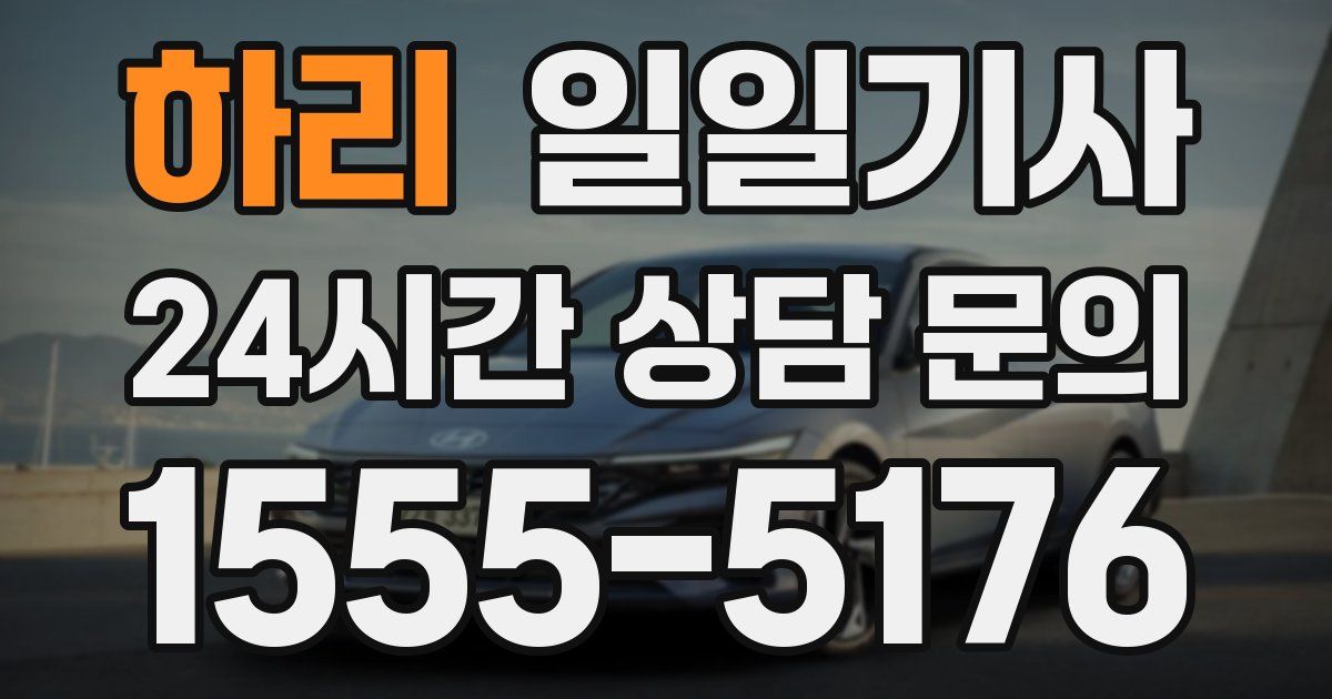 일일대리기사