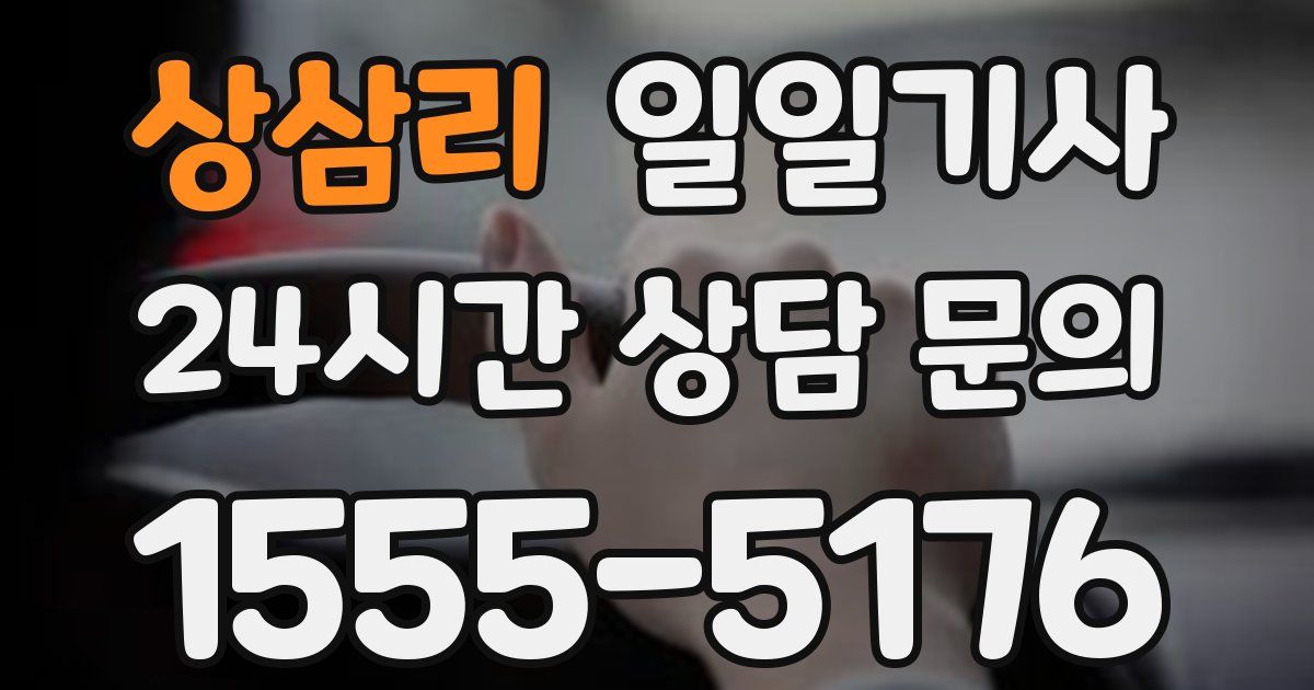 일일대리기사