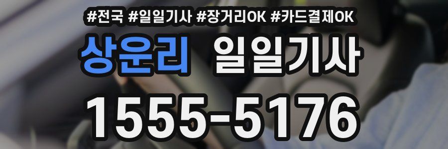 상운리 일일기사