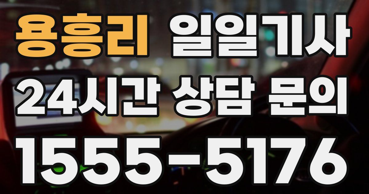 일일대리기사