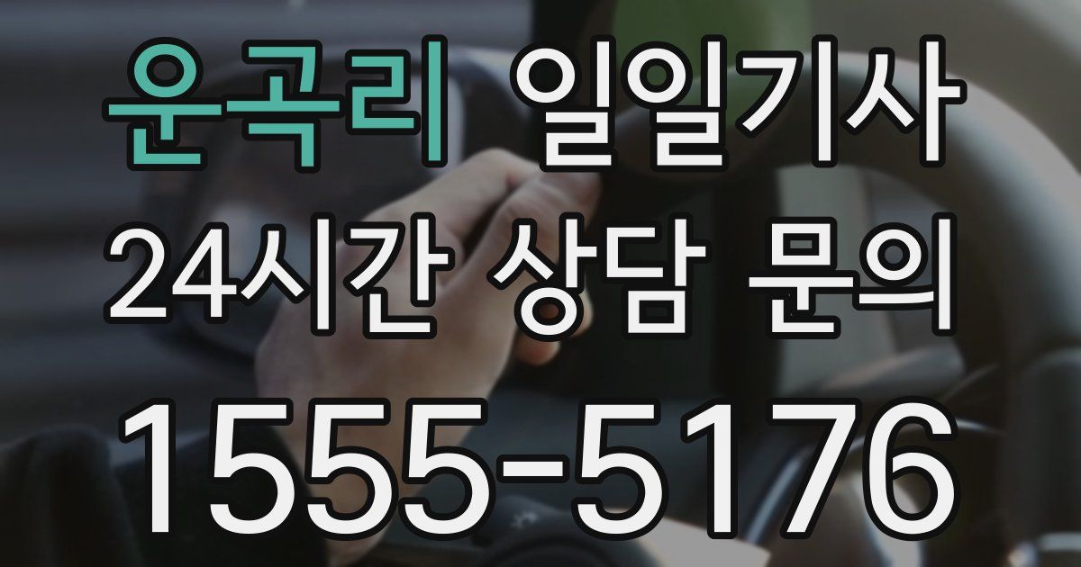 일일대리기사