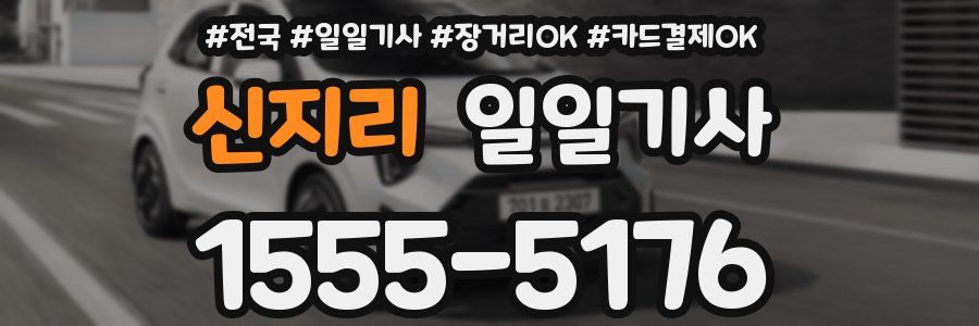 신지리 일일기사