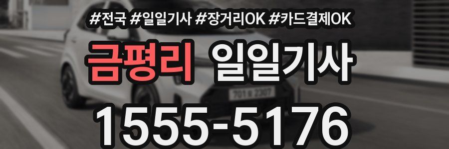 금평리 일일기사