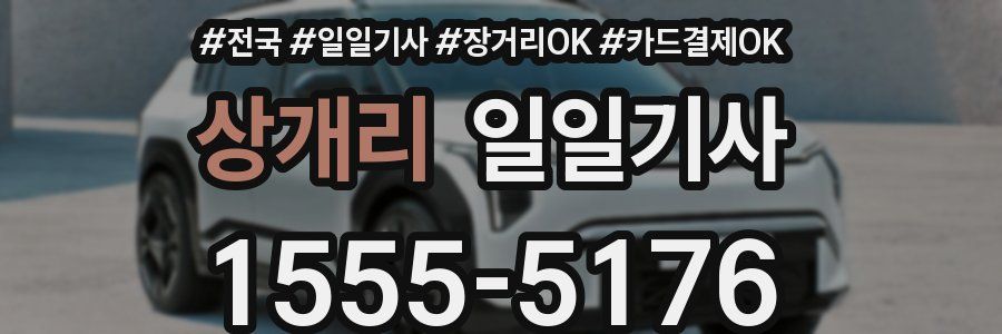 상개리 일일기사