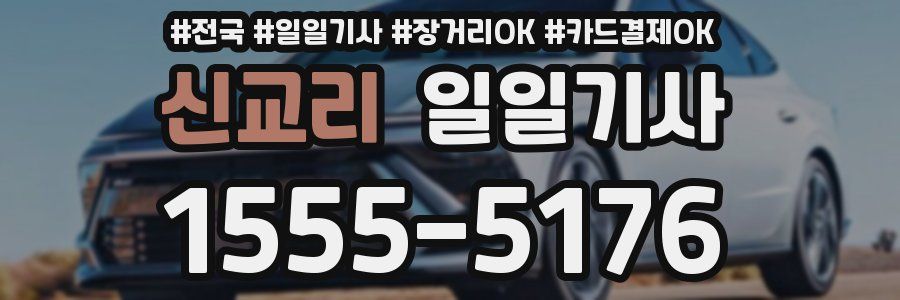신교리 일일기사