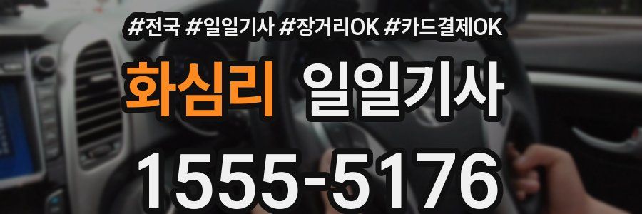 화심리 일일기사