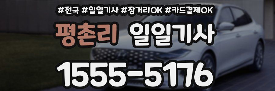 평촌리 일일기사