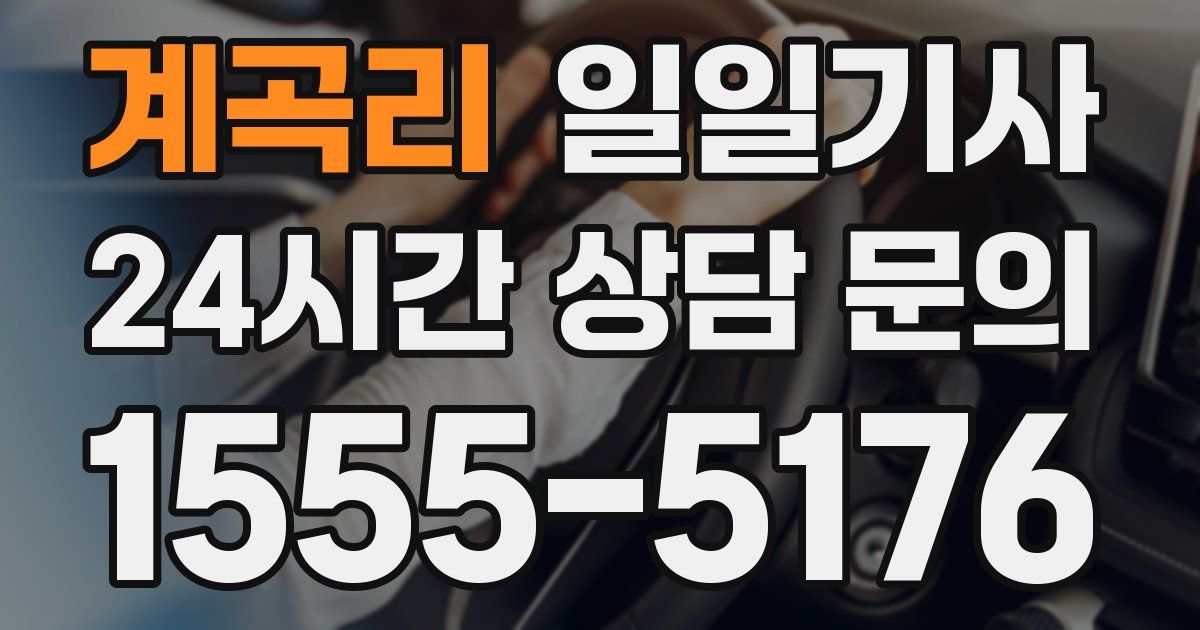 일일대리기사
