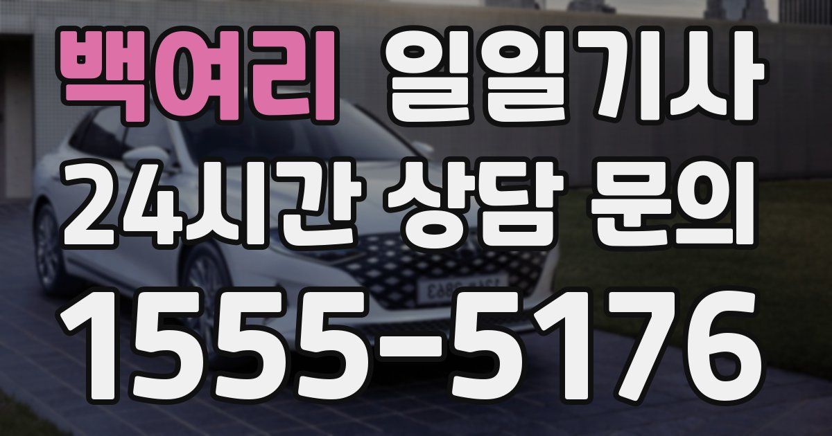 일일대리기사