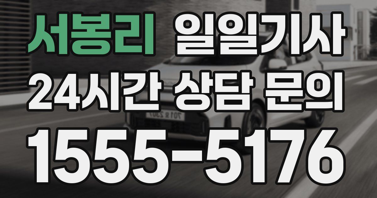 일일대리기사