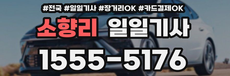 소향리 일일기사