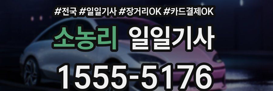 소농리 일일기사