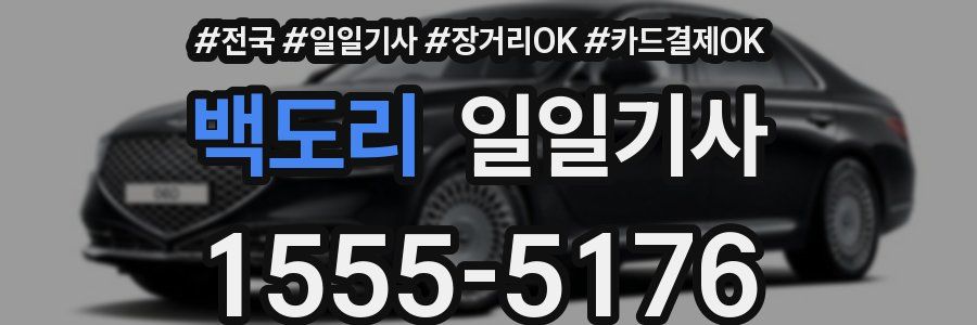 백도리 일일기사