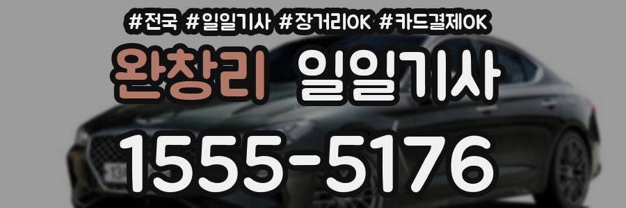 완창리 일일기사