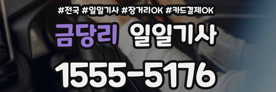 금당리 일일기사