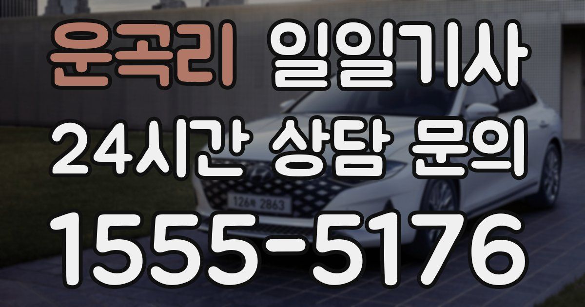 일일대리기사