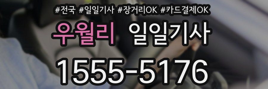 우월리 일일기사