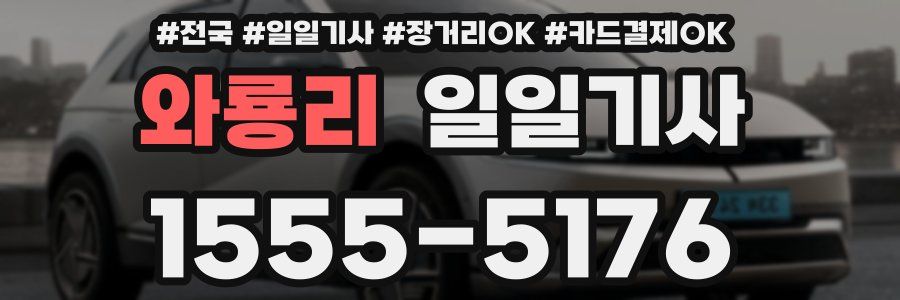 와룡리 일일기사