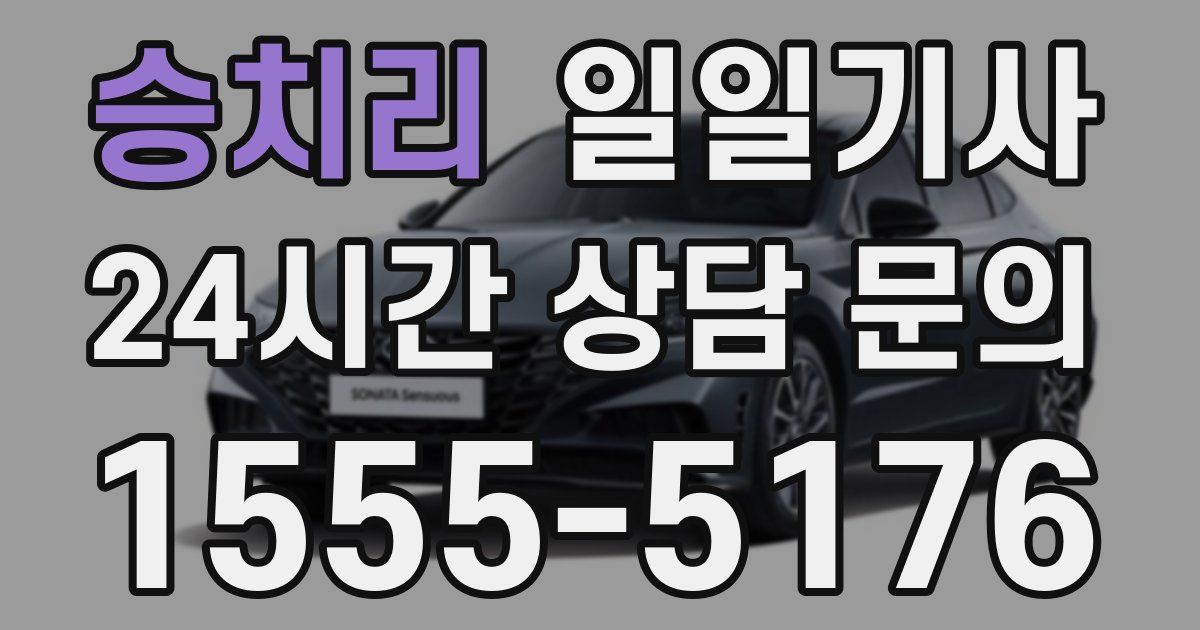 일일대리기사