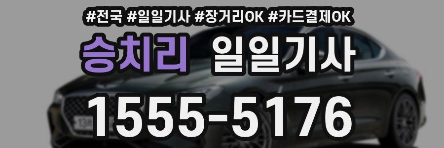 승치리 일일기사