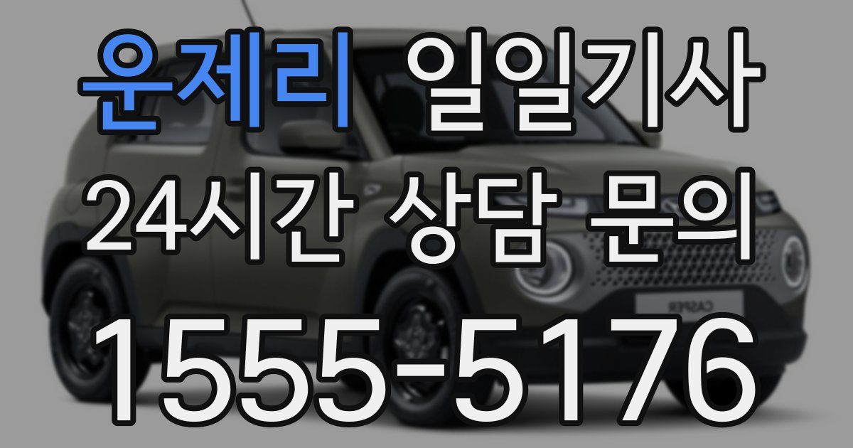 일일대리기사