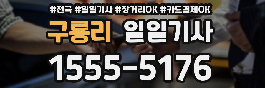 구룡리 일일기사