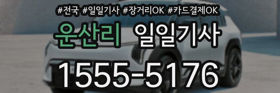운산리 일일기사