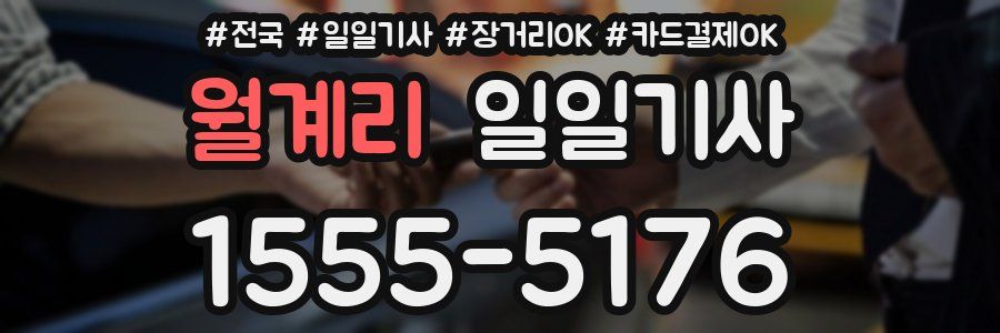 월계리 일일기사