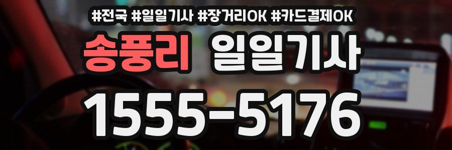 송풍리 일일기사