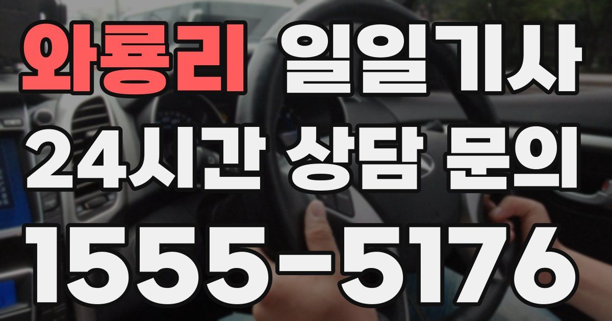 일일대리기사