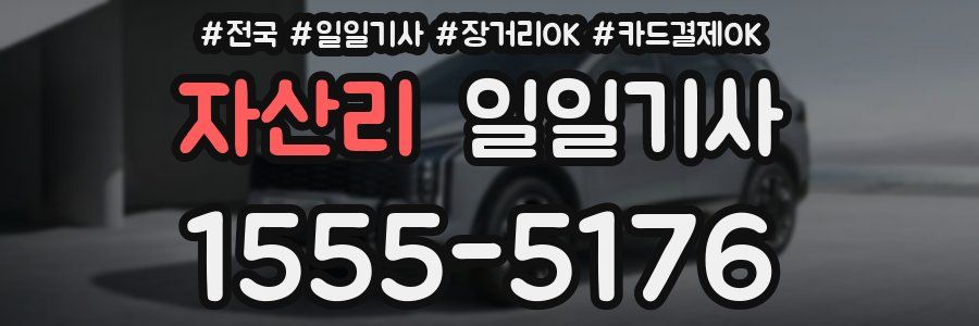 자산리 일일기사