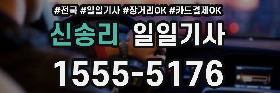 신송리 일일기사