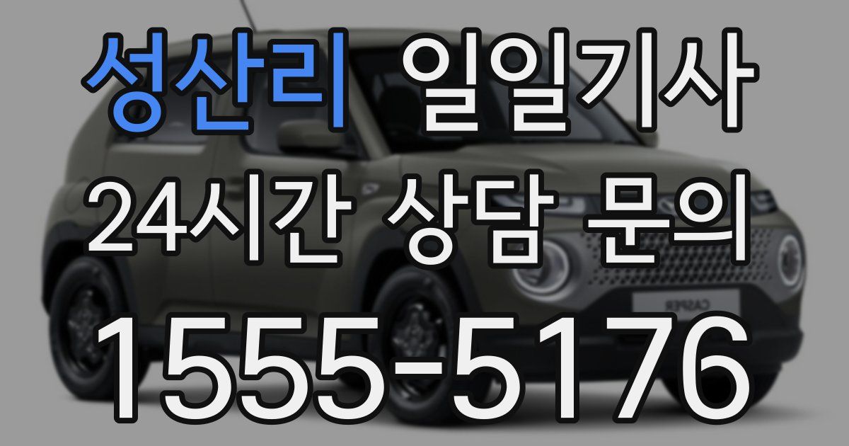 일일대리기사