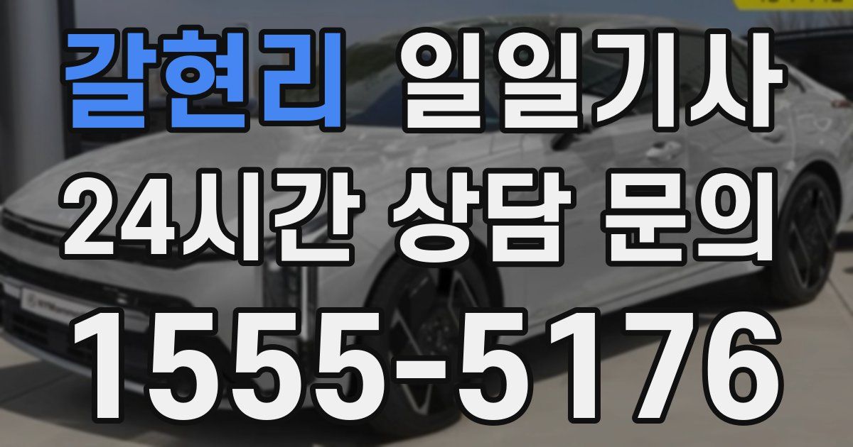 일일대리기사