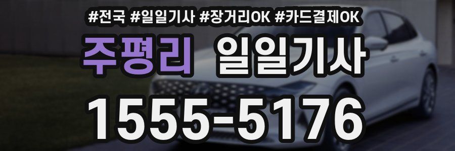 주평리 일일기사