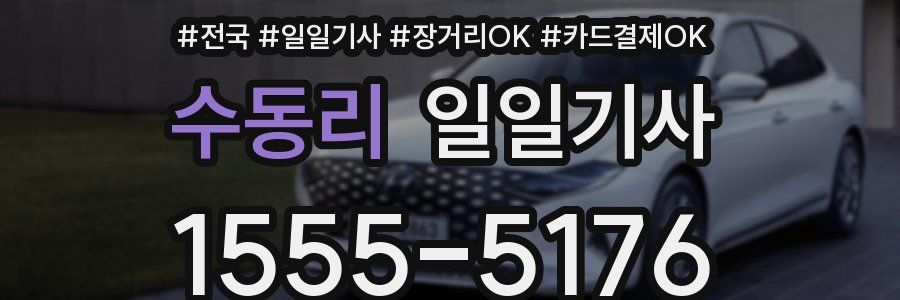 수동리 일일기사