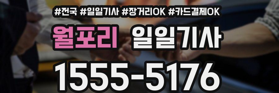 월포리 일일기사