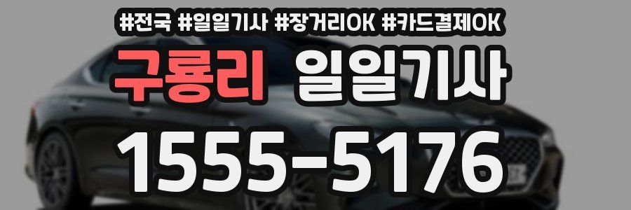 구룡리 일일기사