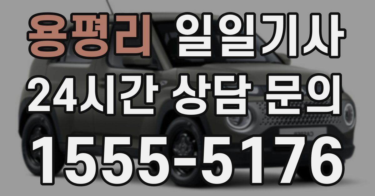일일대리기사