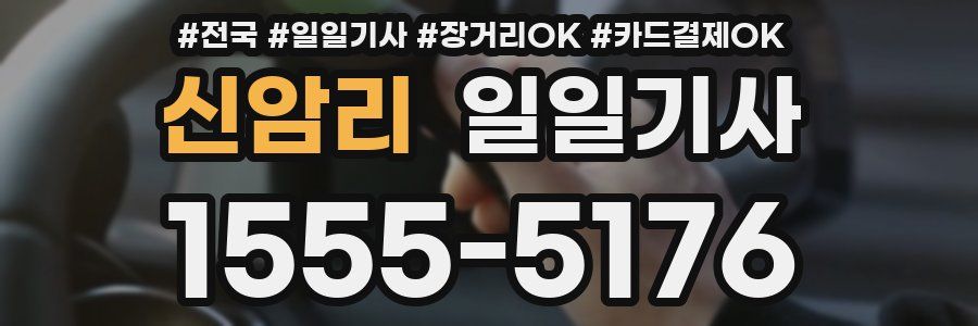 신암리 일일기사