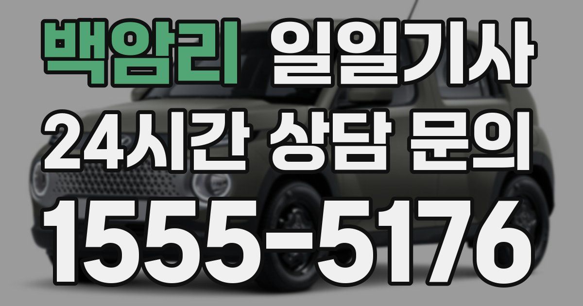 일일대리기사