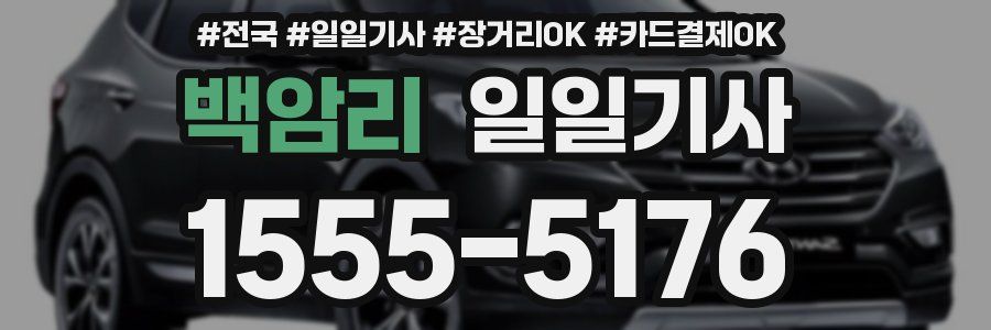 백암리 일일기사