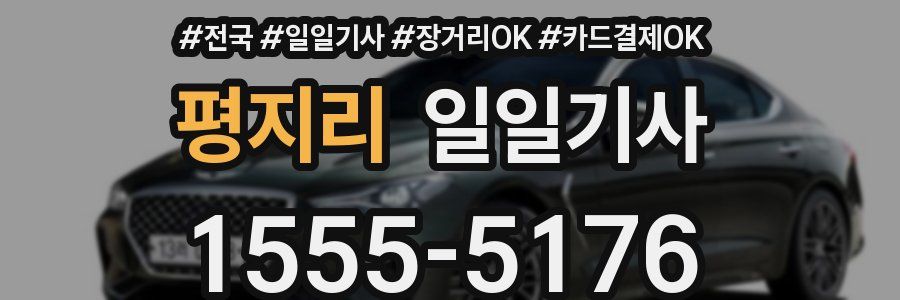 평지리 일일기사