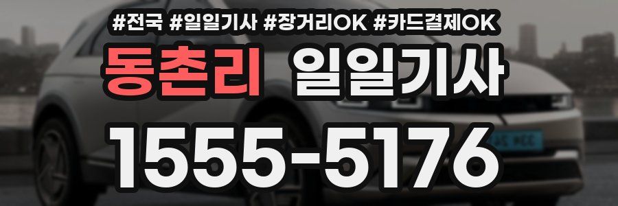 동촌리 일일기사