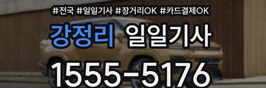 강정리 일일기사