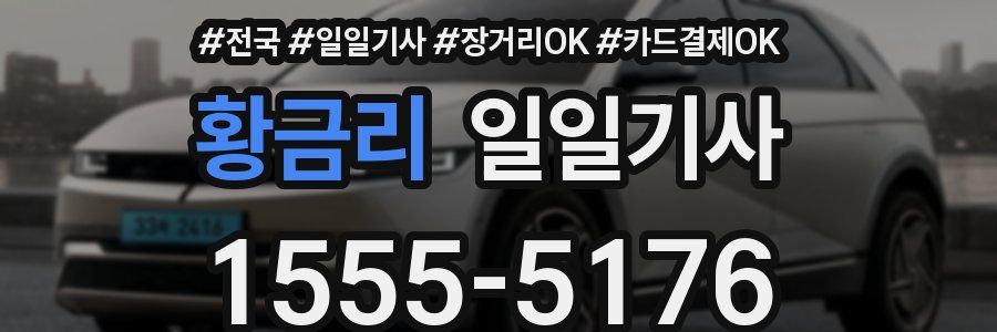 황금리 일일기사