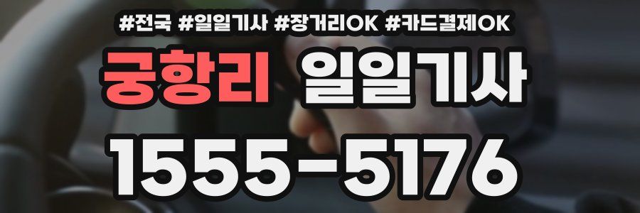 궁항리 일일기사