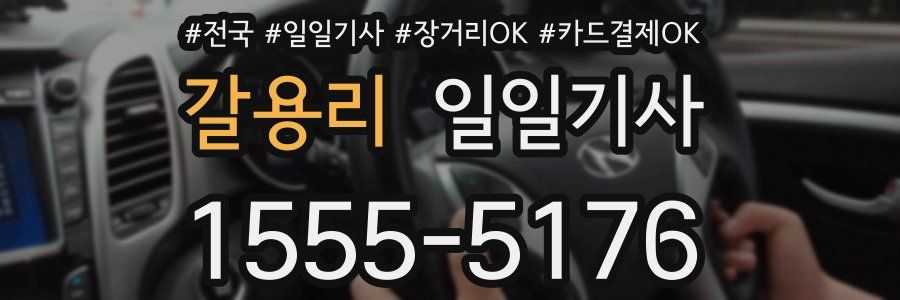 갈용리 일일기사